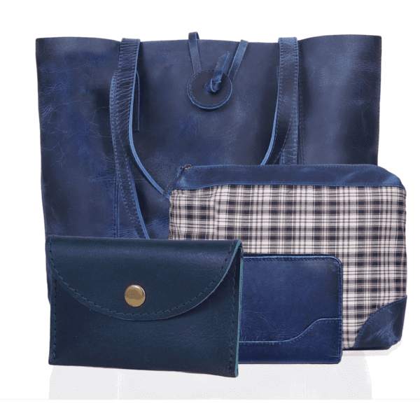Seinna Leather Bag Combo Blue