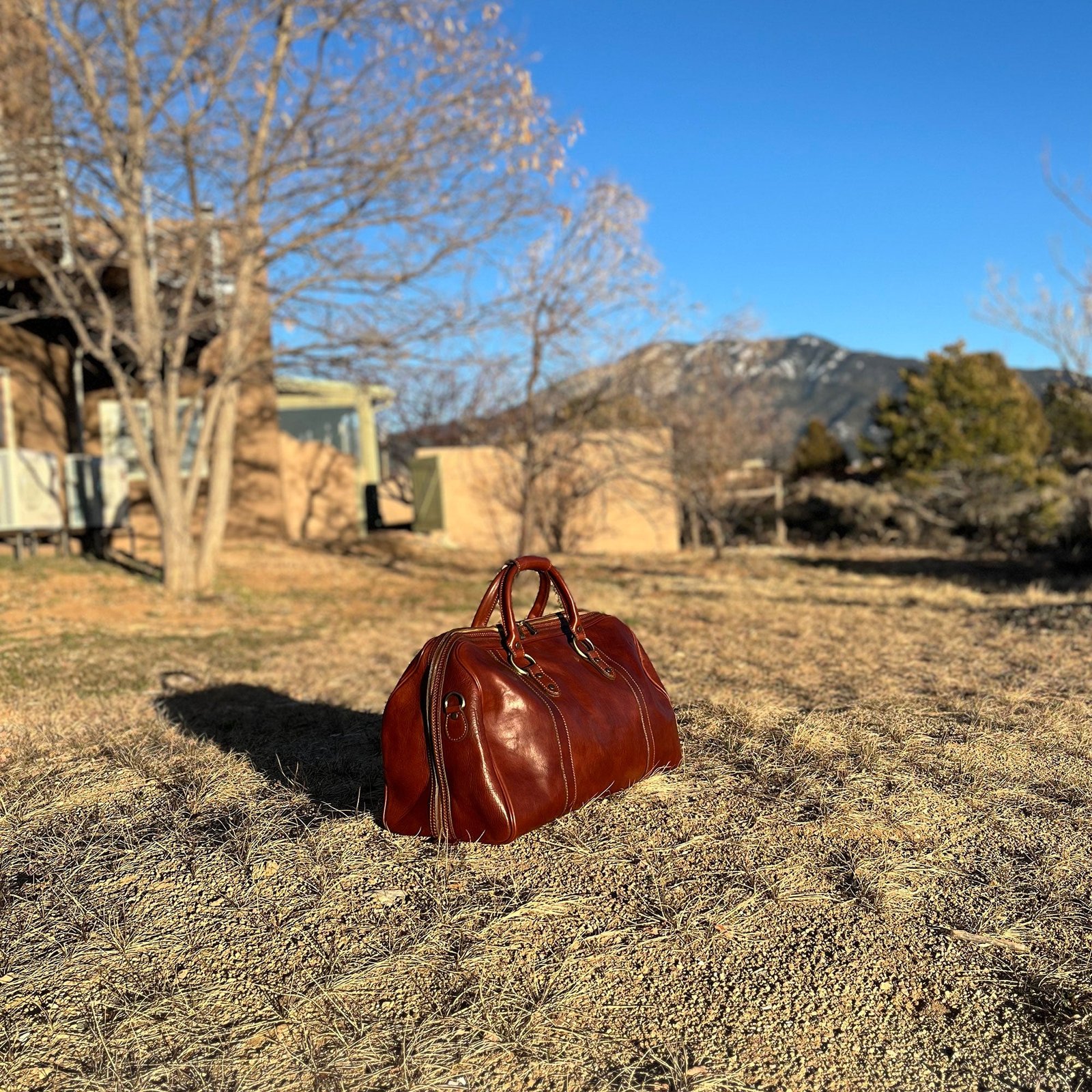 elegant Roma Cabin Bag